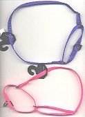Premier Collar - click for more information